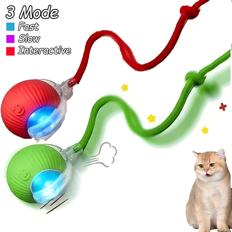 Cat Interactive Automatic Rolling Ball (Reachable)