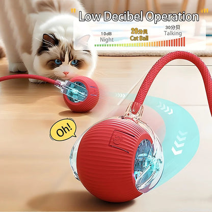 Cat Interactive Automatic Rolling Ball (Reachable)