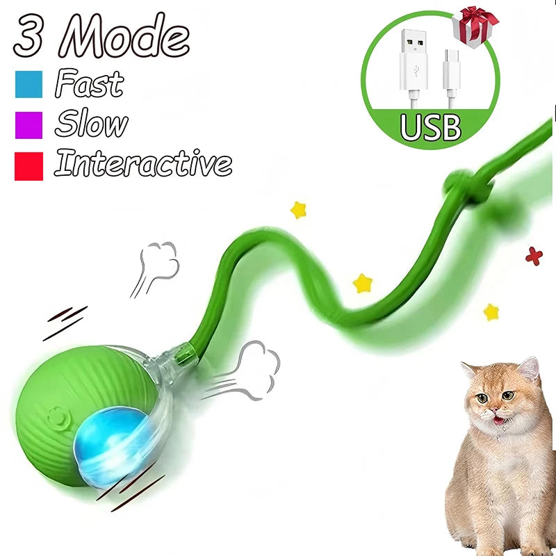 Cat Interactive Automatic Rolling Ball (Reachable)