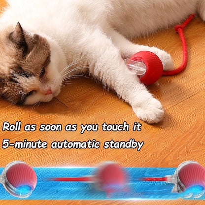 Cat Interactive Automatic Rolling Ball (Reachable)