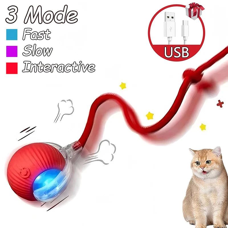 Cat Interactive Automatic Rolling Ball (Reachable)