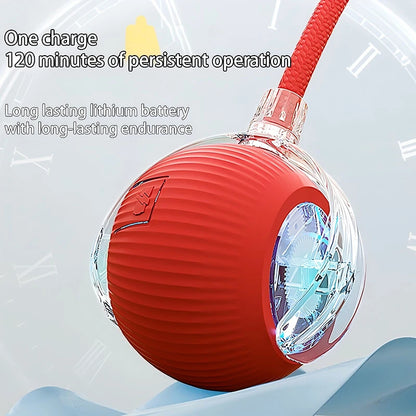 Cat Interactive Automatic Rolling Ball (Reachable)