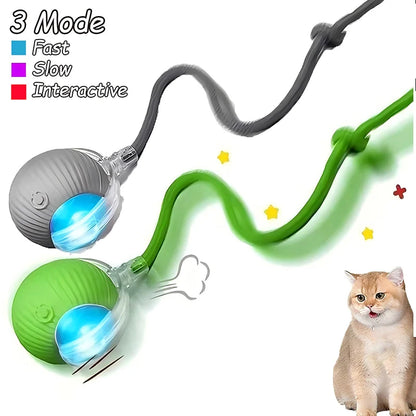 Cat Interactive Automatic Rolling Ball (Reachable)