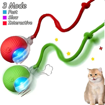 Cat Interactive Automatic Rolling Ball (Reachable)