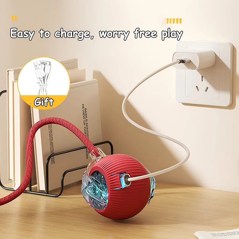 Cat Interactive Automatic Rolling Ball (Reachable)