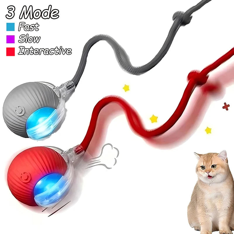 Cat Interactive Automatic Rolling Ball (Reachable)