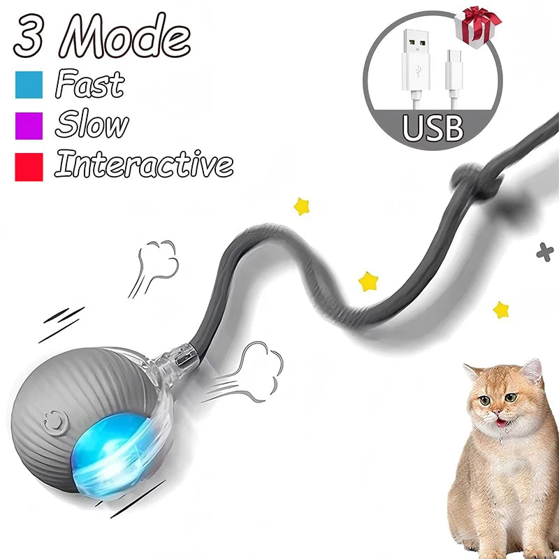 Cat Interactive Automatic Rolling Ball (Reachable)