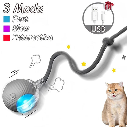 Cat Interactive Automatic Rolling Ball (Reachable)