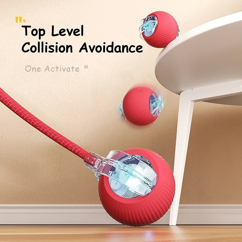 Cat Interactive Automatic Rolling Ball (Reachable)